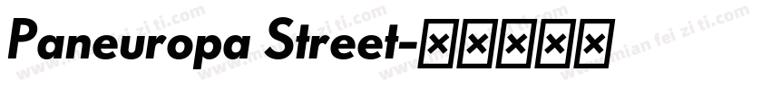 Paneuropa Street字体转换